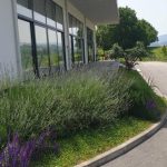 Multifukncionalna dvorana
